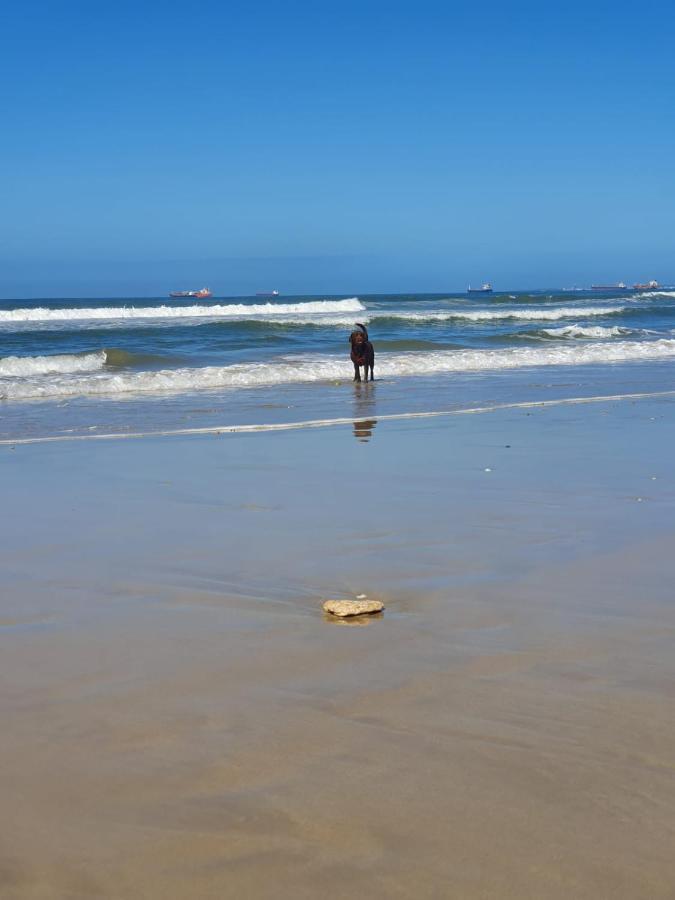 House Haven Guesthouse Port Elizabeth Buitenkant foto