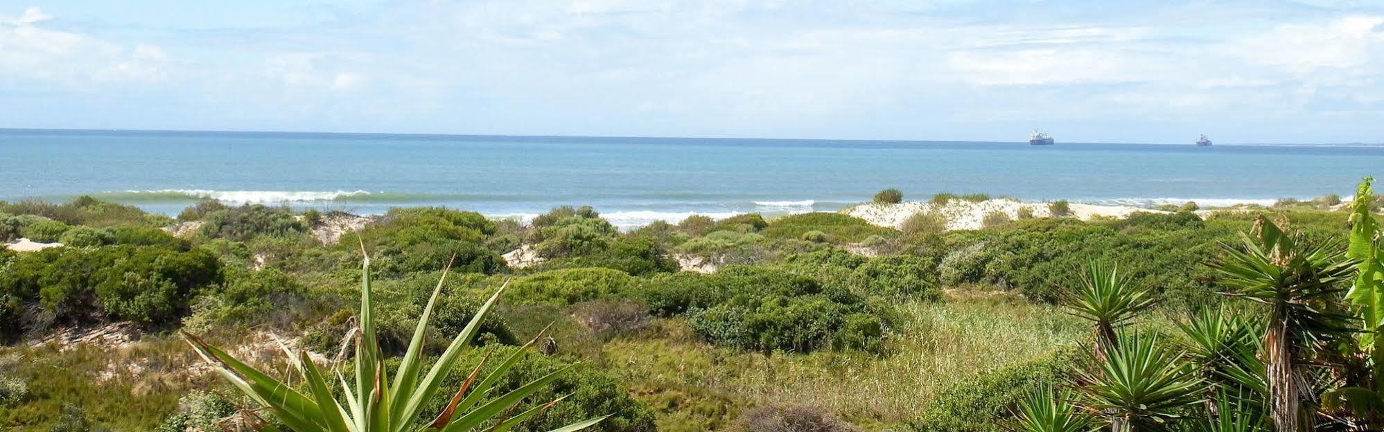 House Haven Guesthouse Port Elizabeth Buitenkant foto